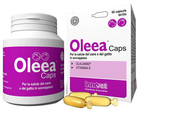 OLEEA CAPS 60 CAPSULE - Farmacia Bartoli