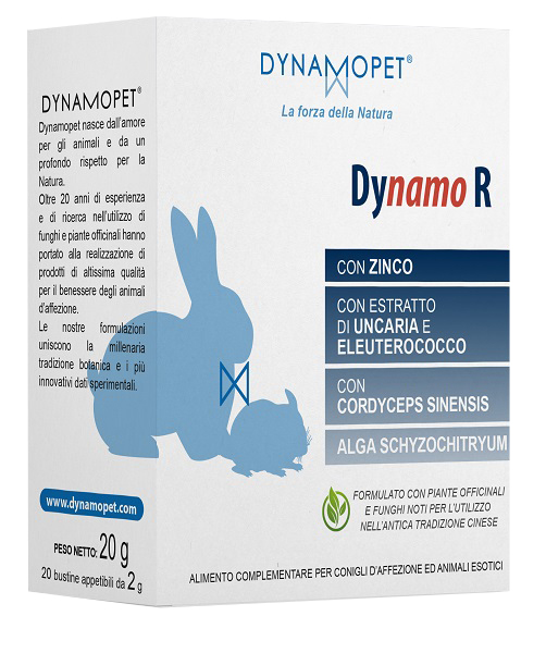 DYNAMO R 20 BUSTINE DA 2 G - Farmacia Bartoli