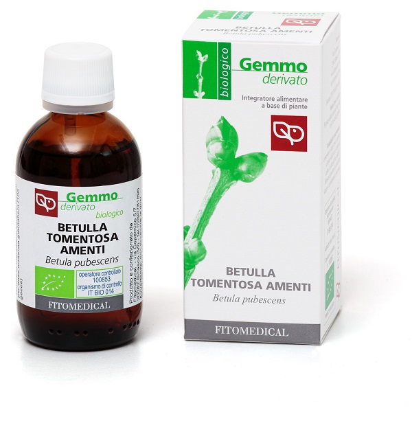 BETULLA PUBESCENS AMENTI MACERATO GLICERICO 50 ML BIO - Farmacia Bartoli